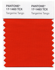 Pantone 2012- Tangerine Tango swatch