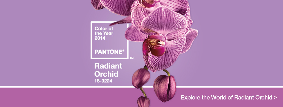 Pantone Color of the Year 2014- Radiant Orchid